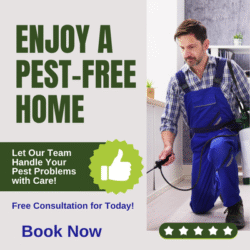 Same Day Pest Control Berwick 400