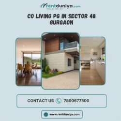 co living pg in sector 48 gurgaon