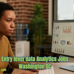 data analyst