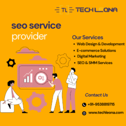 seo service provider in Bangalore