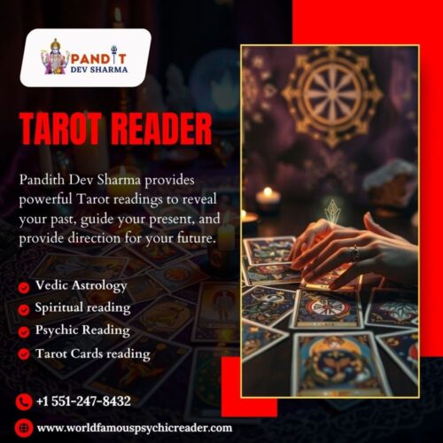 Tarot Reader Tarot Reader