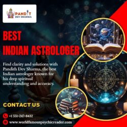 Best  Indian Astrologer