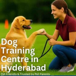 Dog Training Centre in Hyderabad