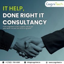 IT Help, Done Right IT Consultan
