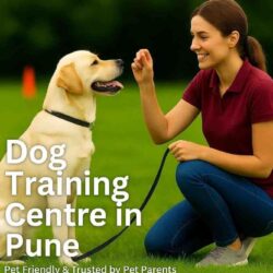 Dog Training Centre in Pune