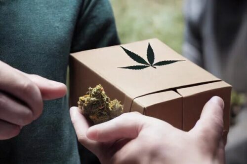 Weed Delivery In Bc Weed Delivery In Bc