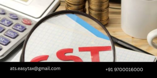 Your Trusted CA Firm in Delhi Your Trusted CA Firm in Delhi