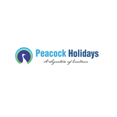 Peacock logo Peacock logo