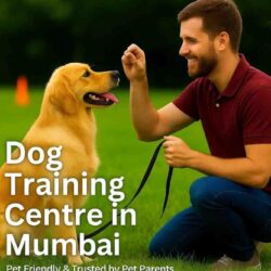 Dog Training Centre in Mumbai