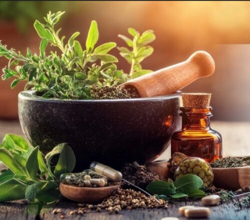 Natural Liver Care with Ayurvedic Methods in Rajkot Natural Liver Care with Ayurvedic Methods in Rajkot