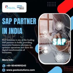 SAP Partner in India  (1)