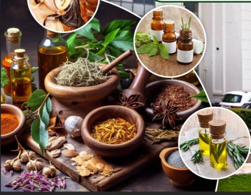 Why HIIMS Is the Best Ayurvedic Hospital in Panchkula Why HIIMS Is the Best Ayurvedic Hospital in Panchkula