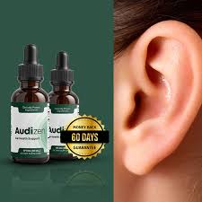 audizennn