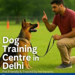 Dog Training Centre in Delhi