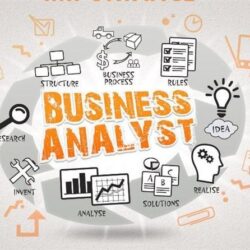 Business Analysts