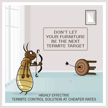 termite-control-services_today termite-control-services_today