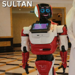 Robot for Event Management