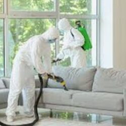 Biohazard Restoration Services