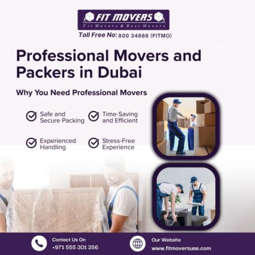 Professional Movers and Packers in Dubai (2) Professional Movers and Packers in Dubai (2)
