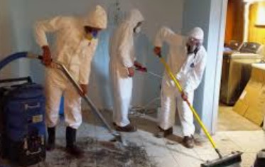 Flood Damage Cleaners Flood Damage Cleaners