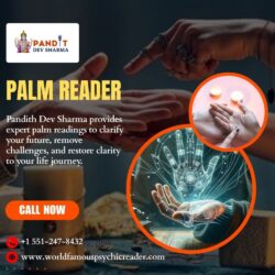 Palm Reader
