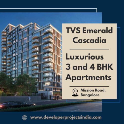 TVS Emerald Cascadia TVS Emerald Cascadia