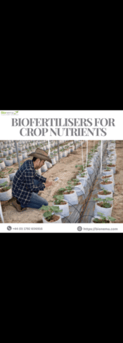 Biofertilisers for crop nutrients (1) (1) Biofertilisers for crop nutrients (1) (1)