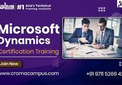 Microsoft Dynamics