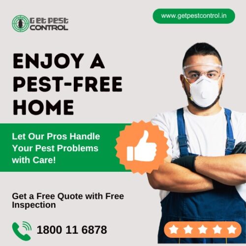 get-pest-control-near-me get-pest-control-near-me