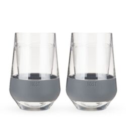 842094100248-ai1-wine-freeze-xl-in-gray-set-of-2-by-host