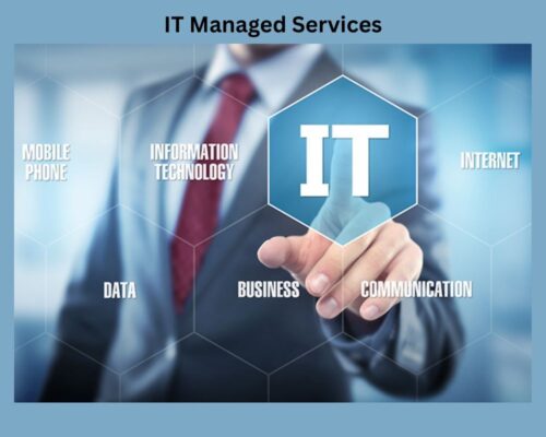 IT Staff Augmentation Services (1) IT Staff Augmentation Services (1)