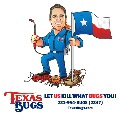 TexasBugs_NoEmail TexasBugs_NoEmail