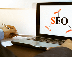 professional seo services
