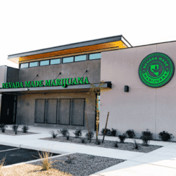 Las Vegas Dispensiry (1) (1)