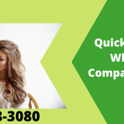 QuickBooks Crashes When Opening Company File Steps to Follow