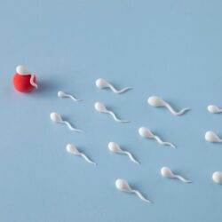 male  infertility