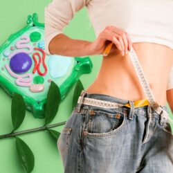 Burn fat fast