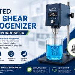 High Shear Homogenizer in Indonesia