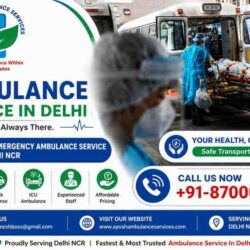 Ayushambulance