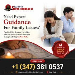 Famous Family Problem Solutions