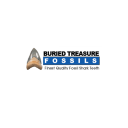 BURIEDLOGO6215d35db43a5
