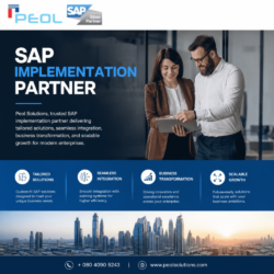 SAP Implementation Partner in Ba
