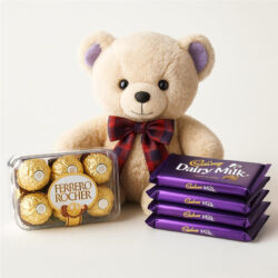 attractive-teddy-rocher-with-chocolates (2)