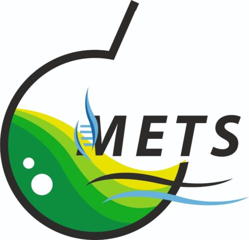 mets logo mets logo