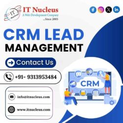 CRM Lead Management
