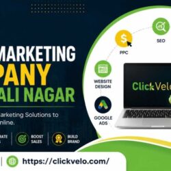 best digital marketing company in vaishali nagar