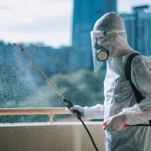 Pest Management Services in Gurgaon Pest Management Services in Gurgaon