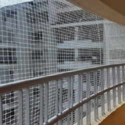 Abseiling Bird Control Services