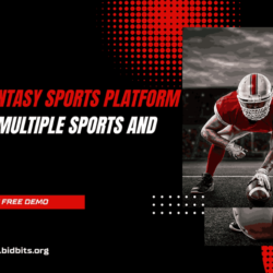 Fantasy Sports Platform - Bidbits_11zon