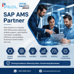 SAP AMS Partner in Bangalore (1)